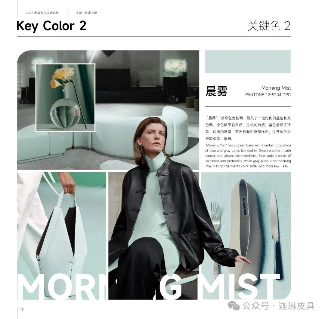 2026 Spring/Summer Women’s Bag Trending Colors Revealed: 8 Pantone Colors, Don’t Get Them Wrong When Purchasing Or Choosing插图4