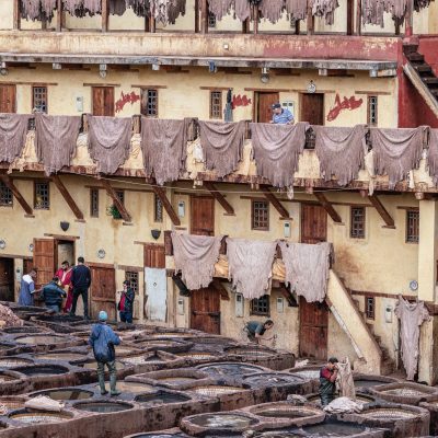 China Leather Science and Technology Conference Draws 300+ to Jinan